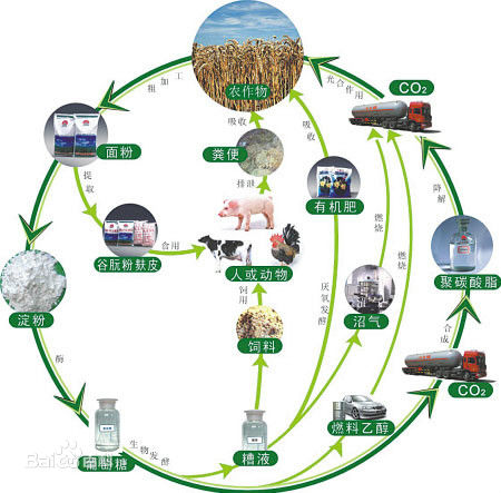 生物質(zhì)能量利用.jpg 生物質(zhì)能量利用.jpg